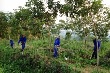 Tạo điều kiện mở cạo Cao su Điện Biên